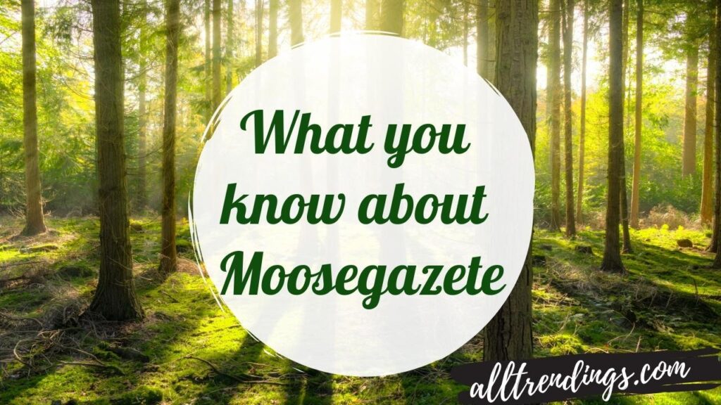 What is meant by Moosegazete? |Complete Information (2022)