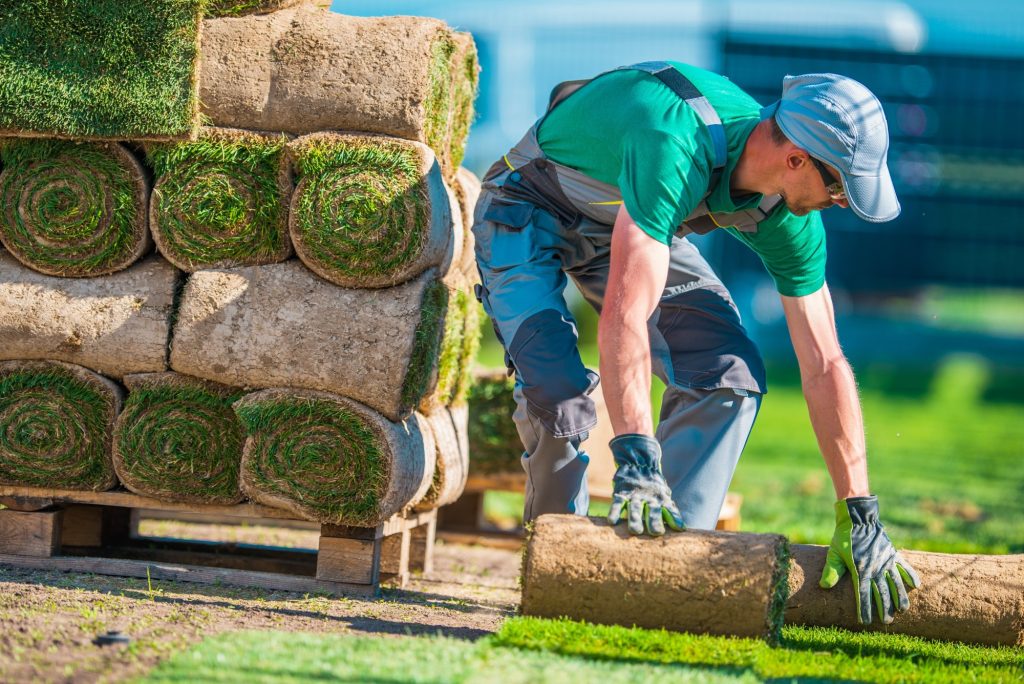 5 Questions to Ask the Best Landscaping Company When Hiring Them