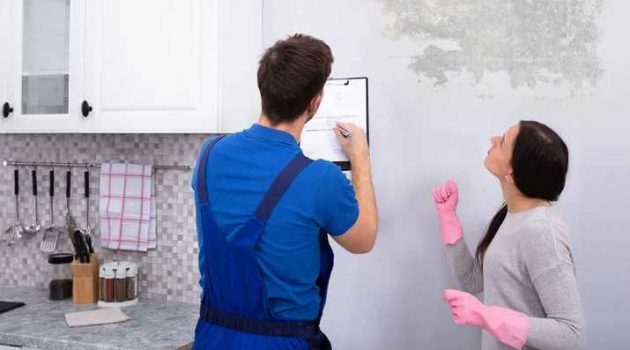 5 Reasons to Hire a Professional for Mold Remediation in Your House