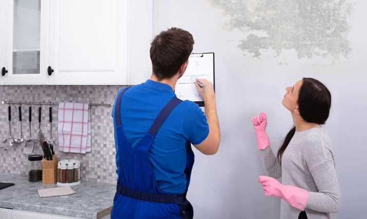 5 Reasons to Hire a Professional for Mold Remediation in Your House