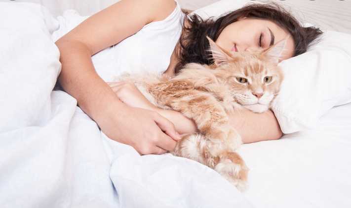 Why Do Cats Love to Sleep on These 4 Spots on a Cat Owner’s Body?
