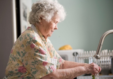 The Right Foods for the Elderly